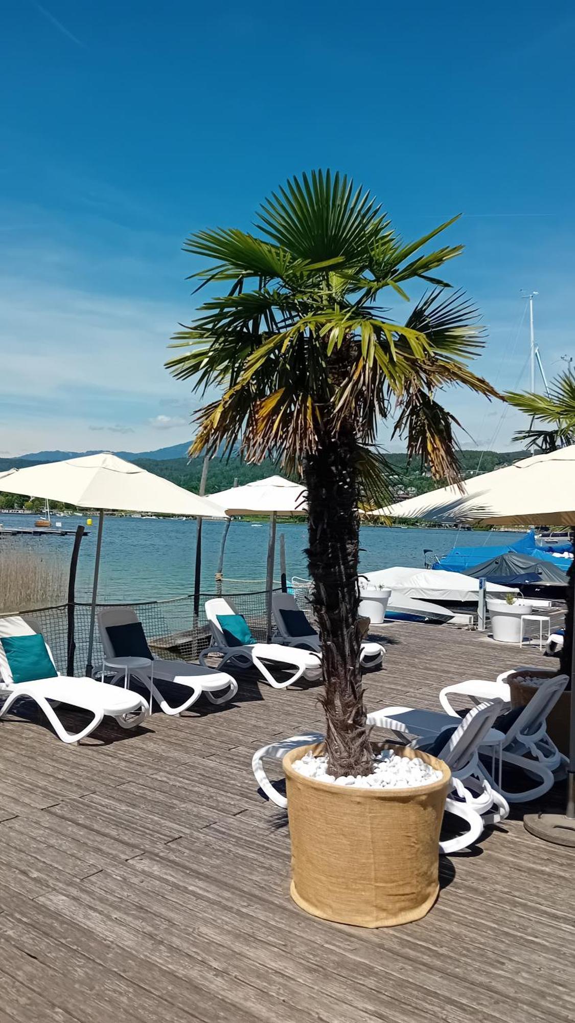 Tennis & Yacht Hotel Velden Velden am Worthersee Bagian luar foto